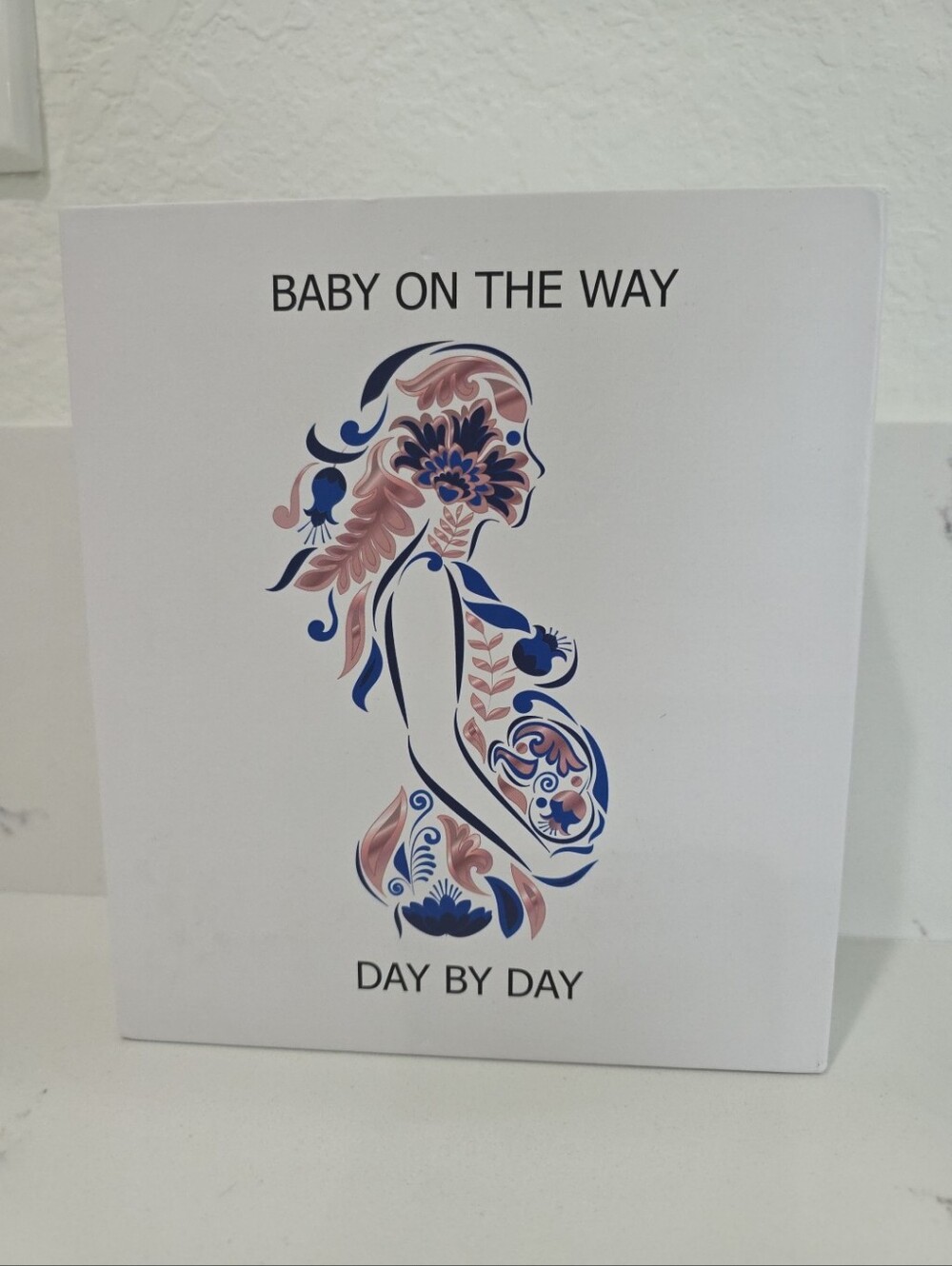 Baby On The Way Day by Day Baby  Countdown Calendar Milestone Cards & Guide